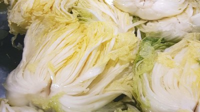 놓치면 후회! 저린고랭지 솔직 후기 & 꿀팁 대방출 🤩