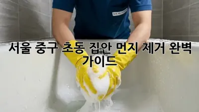 서울 중구 초동 집안 먼지 제거 완벽 가이드